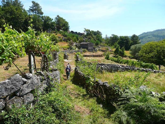 Casa Da Gandarela Villa Soajo Eksteriør billede